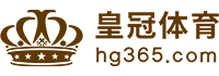 Logo 龙珠